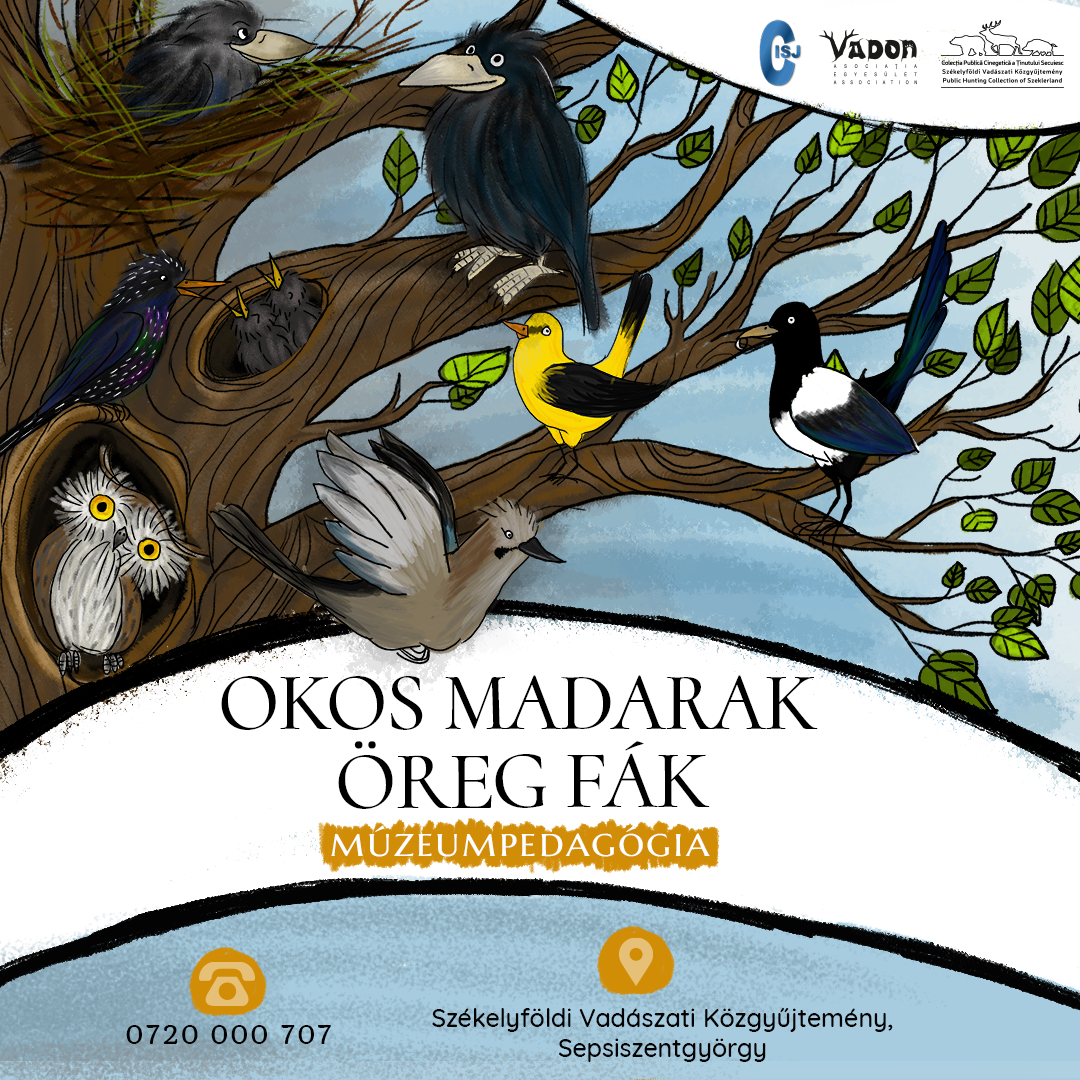 Okos madarak, öreg fák – Múzeumpedagógiai foglalkozás