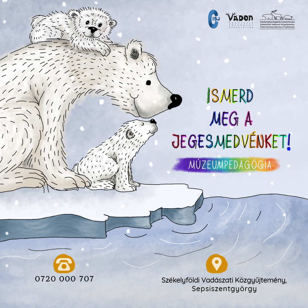  Ismerd meg a jegesmedvéket! 