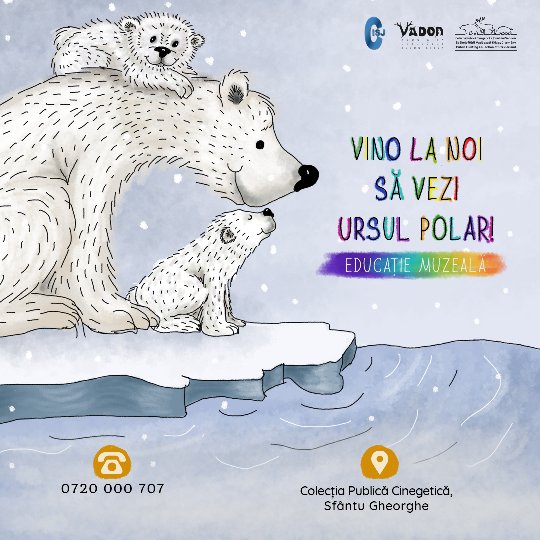 Vino la noi să vezi ursul polar!