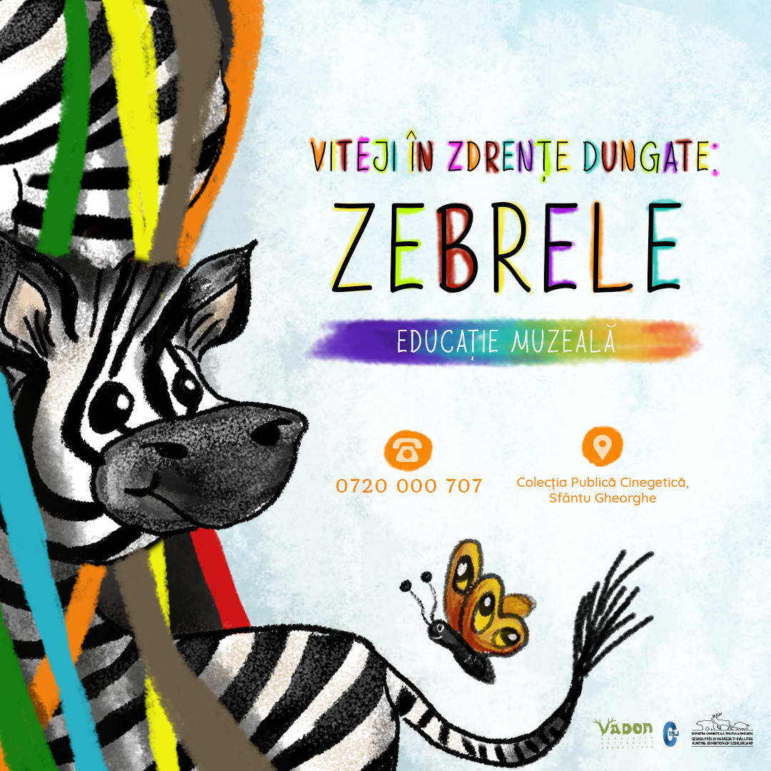 Viteji în zdrențe dungate: ZEBRELE