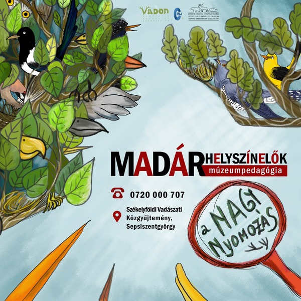Madárhelyszínelők: A nagy nyomozás