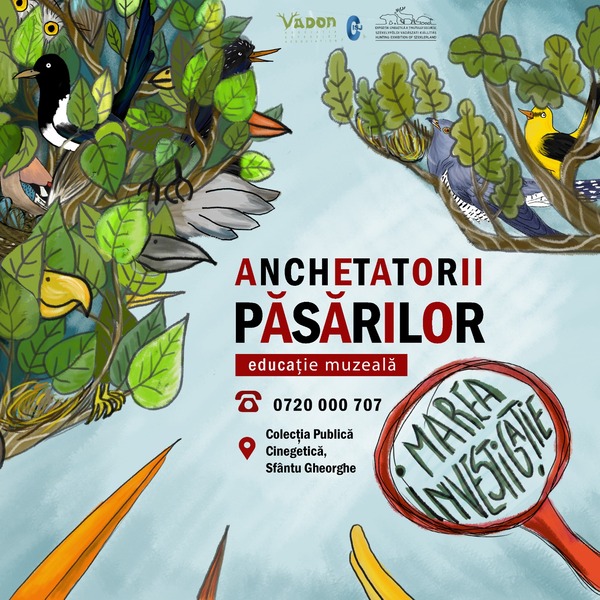 Anchetatorii păsărilor: Marea investigație